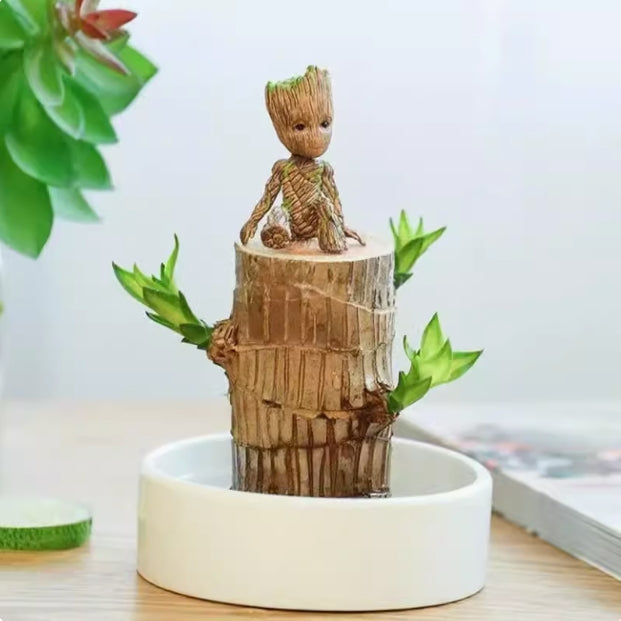 Brazilian Wood Water Lucky Wood Hydroponic Four Seasons Plants