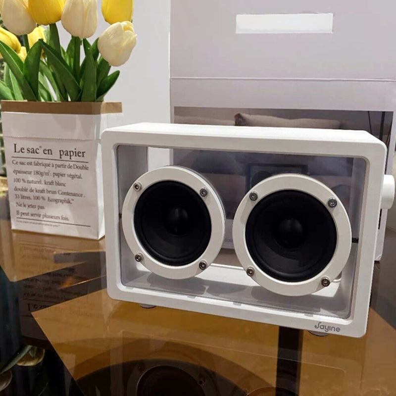Mini Transparent Bluetooth Speakers